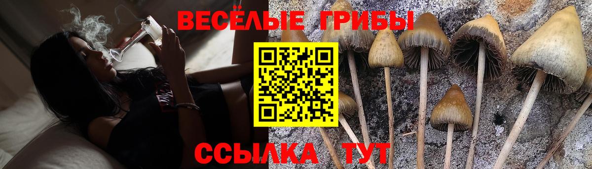 Псилоцибиновые грибы мицелий Выкса