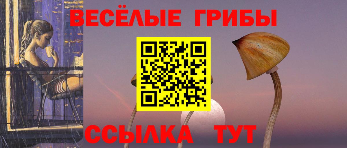 Псилоцибиновые грибы Cubensis  Вход с VPN  Выкса  Галлюциногенные грибы Psilocybine cubensis 